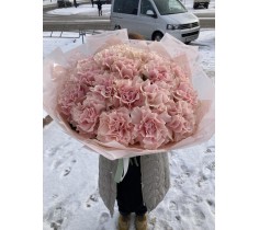 Упакованный ФРАНЦУЗИК
