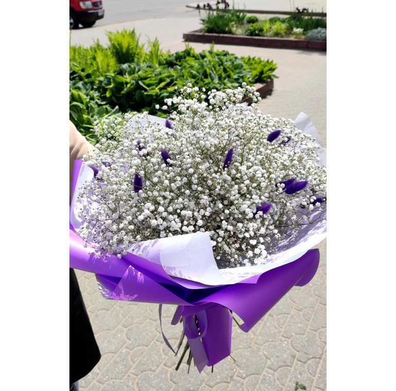 ГИПСИК